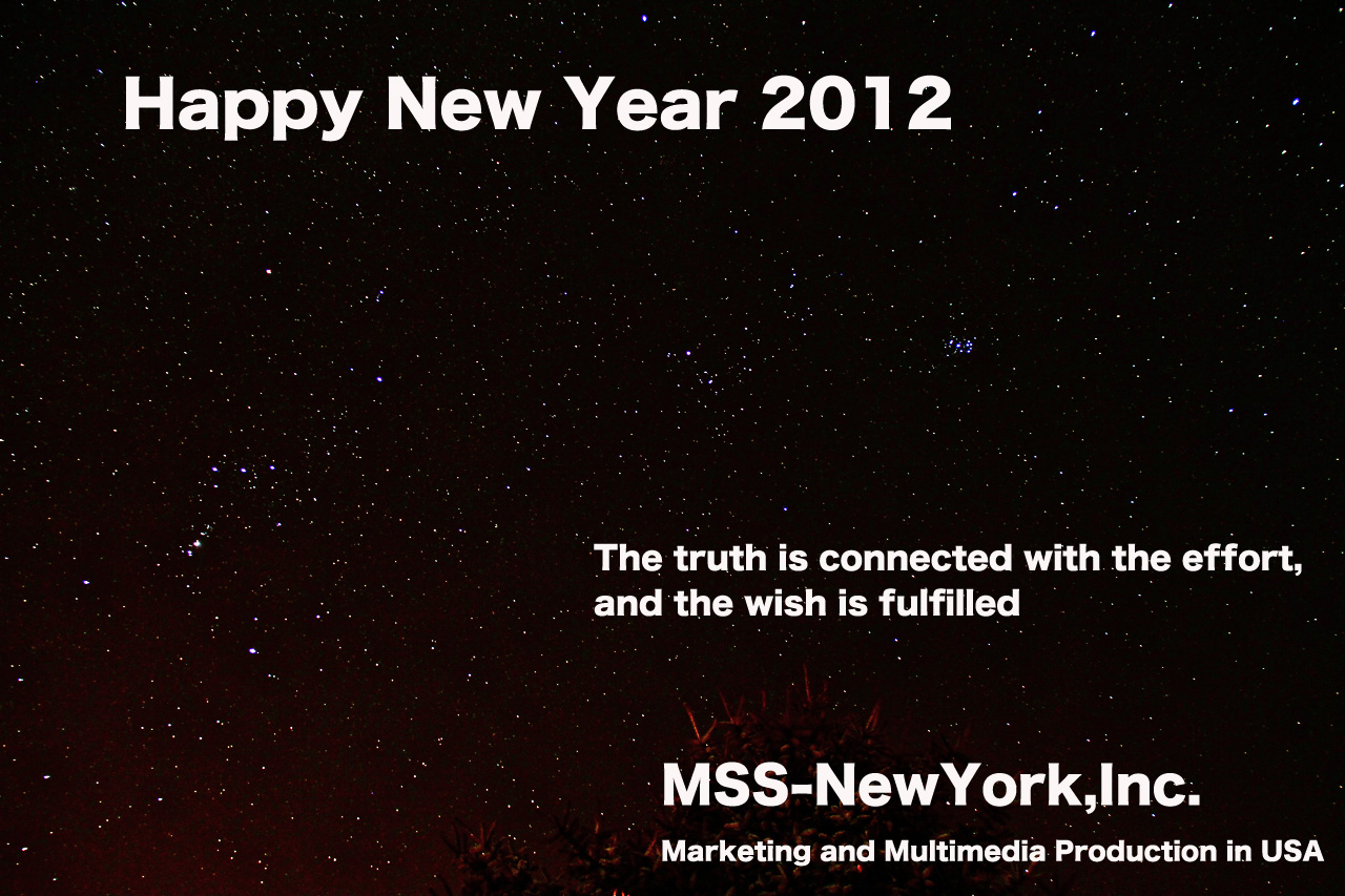 2012 Happy Holidays